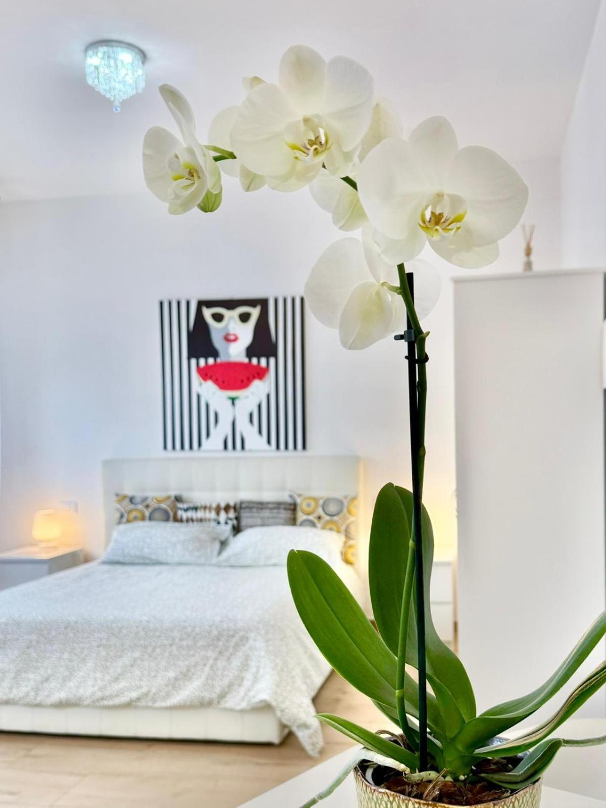 Appartement Travel Fiera à Bologne Extérieur photo